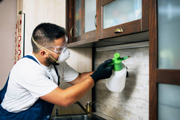Best Pest Inspection Near Me  in Walters, OK