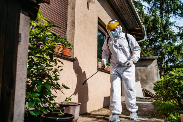 Best Pest Control Near Me  in Walters, OK