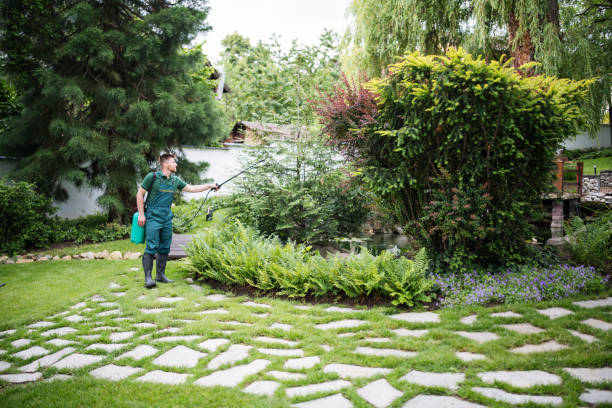Best Mosquito Control Services  in Walters, OK