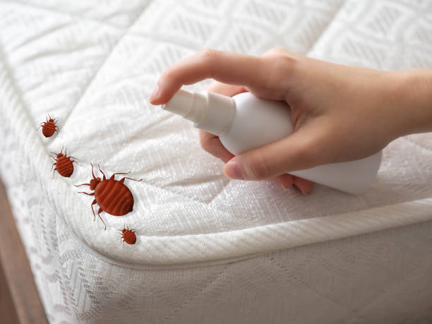 Best Pest Removal Services  in Walters, OK