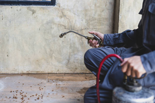 Best Pest Control Near Me  in Walters, OK
