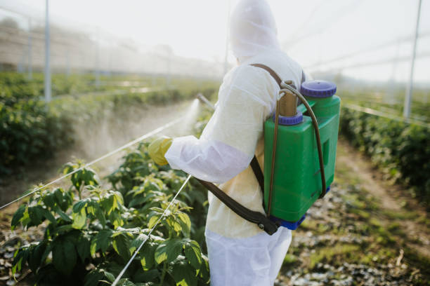 Best Bed Bug Extermination  in Walters, OK